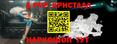бошки Кингисепп