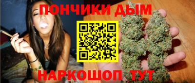бошки Кингисепп