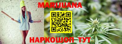 бошки Кингисепп