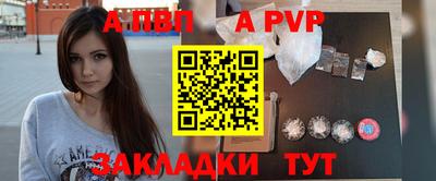 бошки Кингисепп
