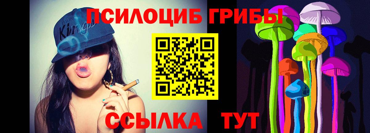 Галлюциногенные грибы Magic Shrooms  где продают наркотики  Крымск  Псилоцибиновые грибы ЛСД  Вход с VPN 